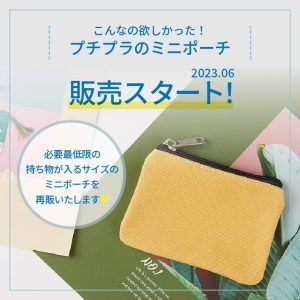 CIARA（ファッション） ポーチ 小物入れ 小さめ 小型 おしゃれ ブランドトラベルポーチ コスメ シンプル 女子 安い カラフル キャンバス マルチポーチ ミニ 20代 40代 50代 tdm 秋